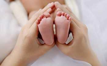 广州个人代孕女有qq|＂专业善管理＂长春供卵试管咨询机构