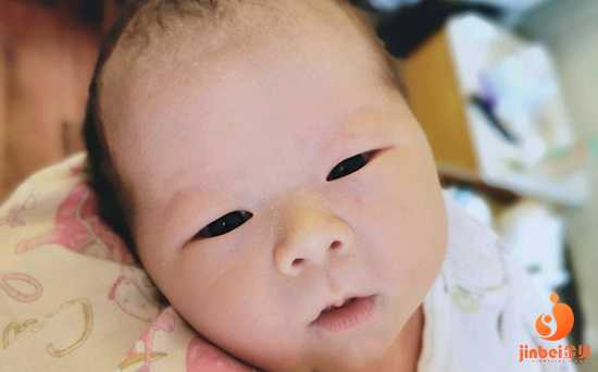 广州供卵代孕网,2023
广州做试管哪家医院最好？-供卵的法律规定_试管婴儿移植